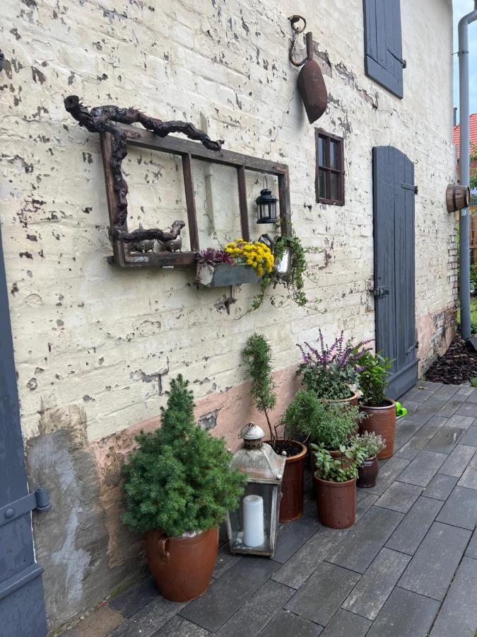 Wanderer Unterkunft Am Hexentanzplatz O 塔勒 外观 照片